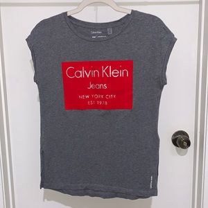 Calvin Klein Jeans Big Red Velvet Label Logo T-shirt Tee Grey XS